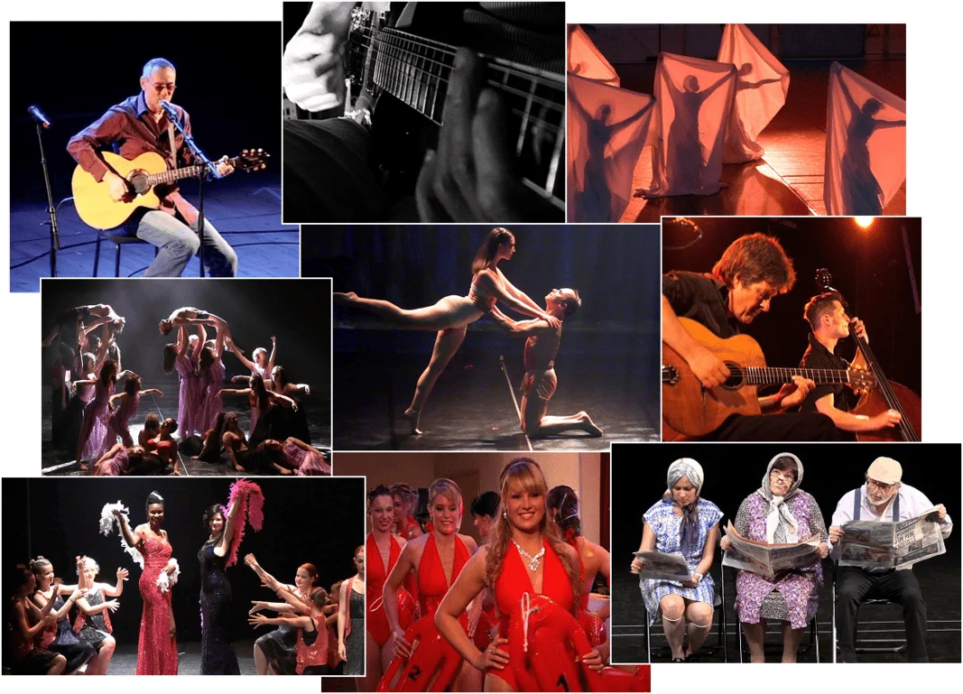 Montage photo réalisé à partir de vidéos de spectacles capturées par Guillaume Witzer , vidéaste dans l'Aube (10)